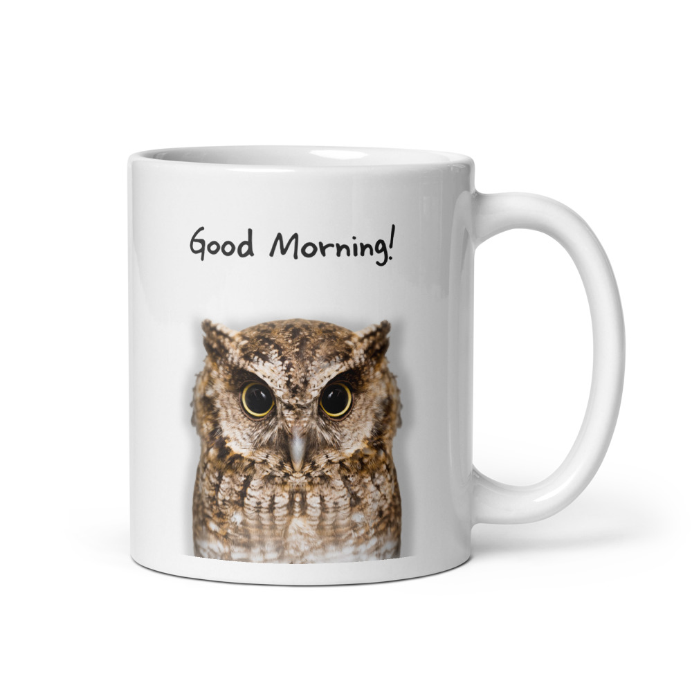 Good Morning! Brown Owl 11oz Mug – Quirky Ceramic Coffee Mug for Animal Lovers
