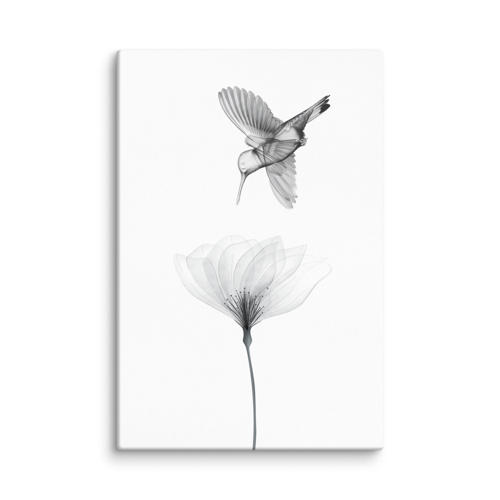 Translucent Harmony – Hummingbird and Bloom - Canvas Print