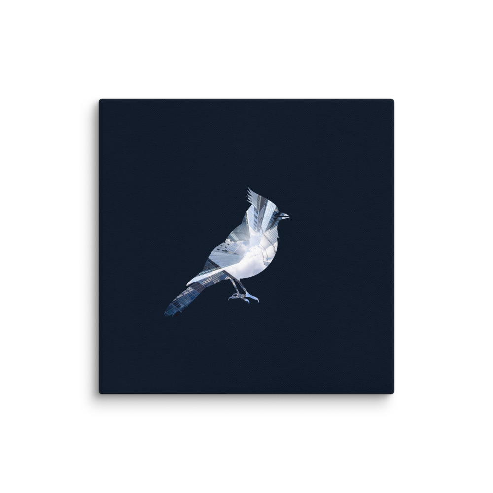 Blue Jay Skyscraper - Reflections of the Wild - 16" Canvas Print